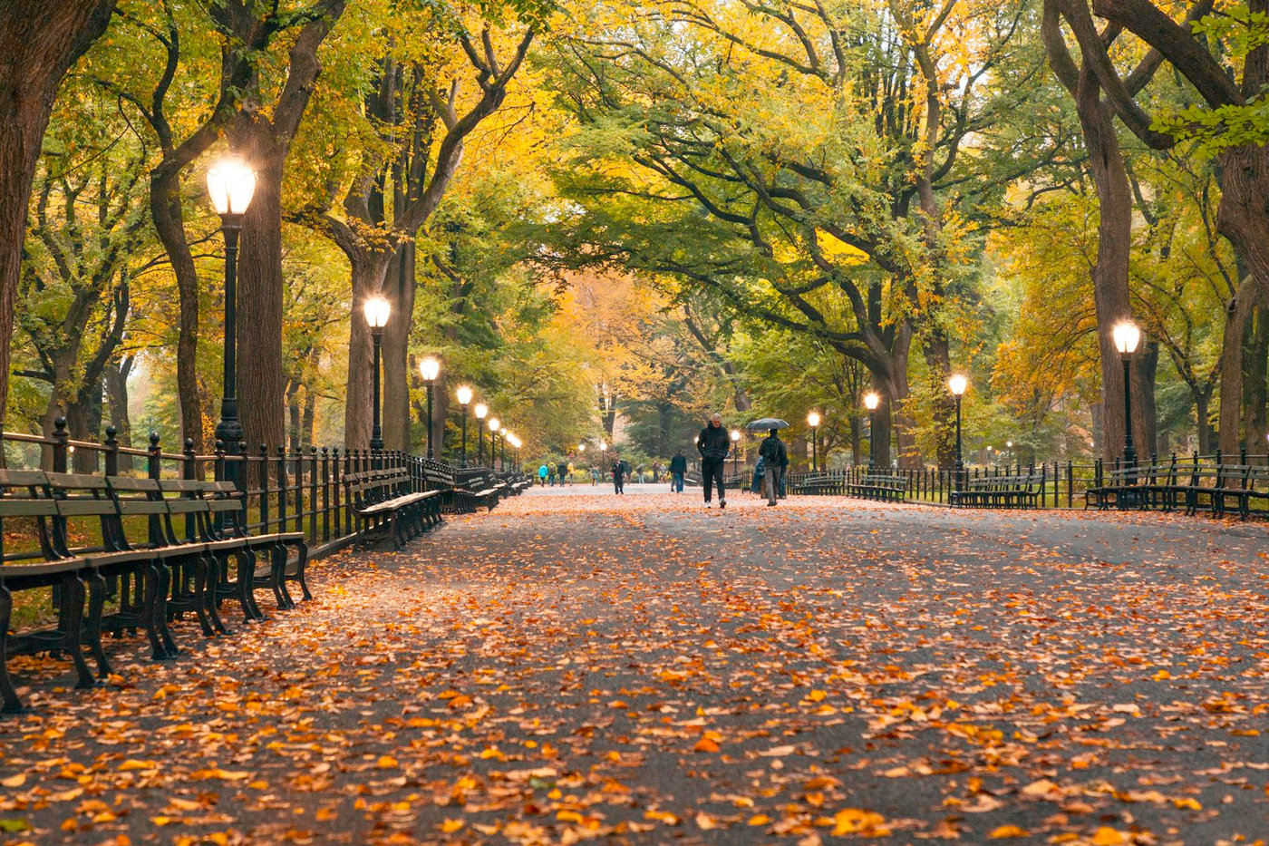 The Mall & Literary Walk, Central Park