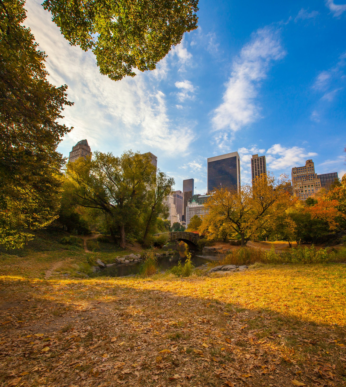 Portrait session in Central Park