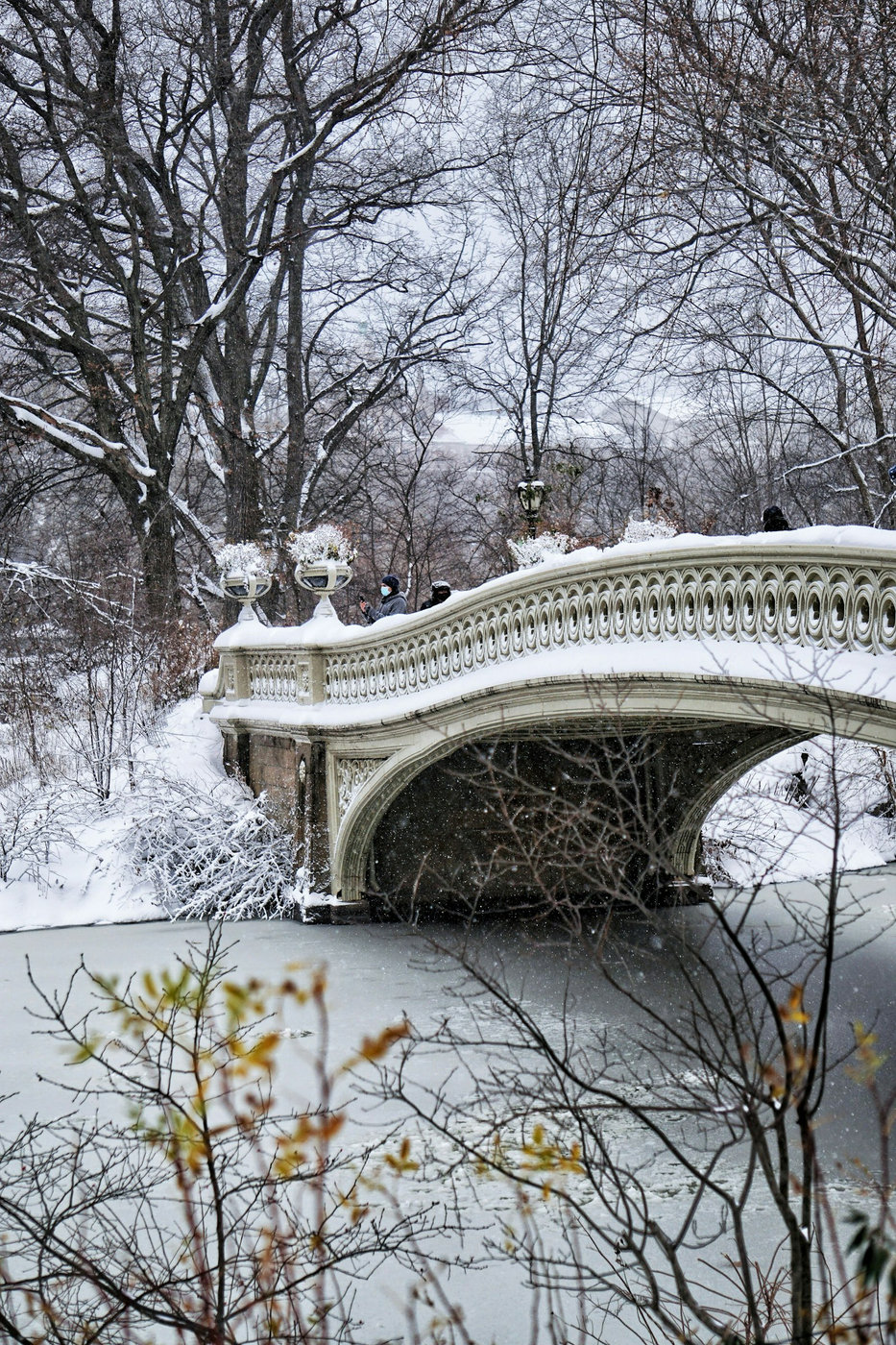 Bow Bridge, Central Park