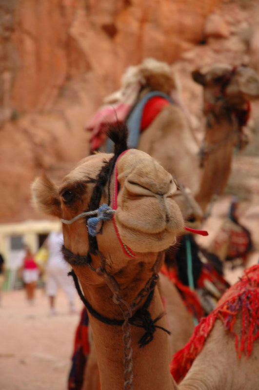 One Year Around the World, photo 32